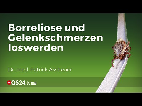 Effective concept against Lyme disease and joint pain | NaturMEDIZIN | QS24 Health Television