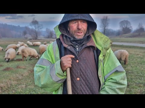 Păstoritul, o altă îndeletnicire a polonezilor din județul Suceava, satul Solonețu - Nou