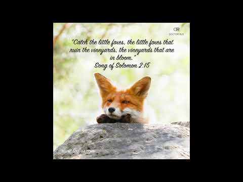 Teppo Lehtomäki: Ottakaa kiinni ketut, jotka turmelevat viinitarhat! / One Way Mission, 28.11.2021