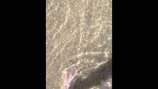 Last Day At The Beach