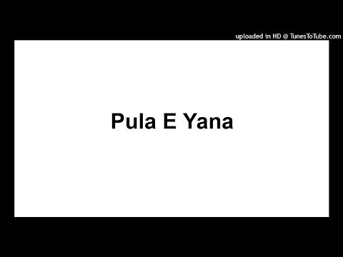 Dj Fixer _ Pula E Yana feat Dj Lenyemo