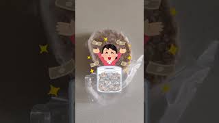 【絶対買って！】貯金したい人が買うべき節約貯金が捗る神アイテム6選【一人暮らしの節約生活】#節約 #節約生活 #一人暮らし #貯金 #節約術