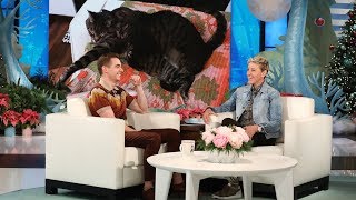 Dave Franco's Cats Took Over His Life video