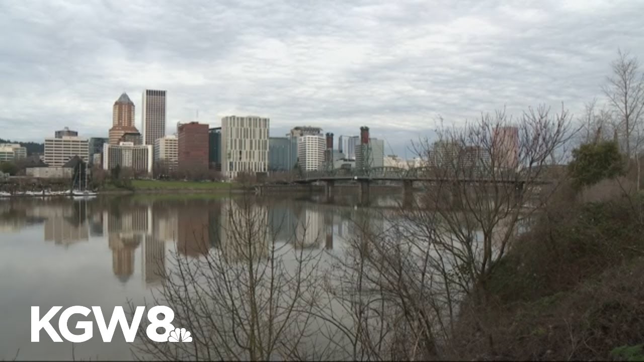 Willamette River redevelopment project takes shape