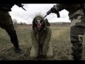 STALKER - Shadow Of Chernobyl - Beautiful Music ...