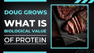 What is Biological Value of Protein