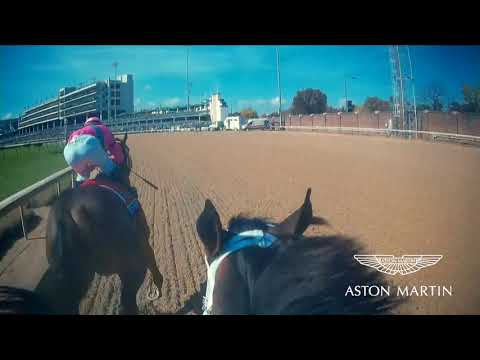 Aston Martin Jockey CAM: Breeders' Cup Dirt Mile won by City of Light