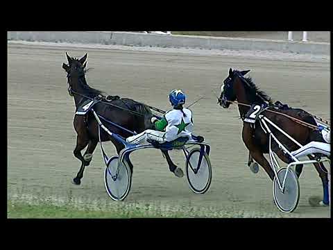 Napoli Trotto 24/12/2021 - 3ª corsa