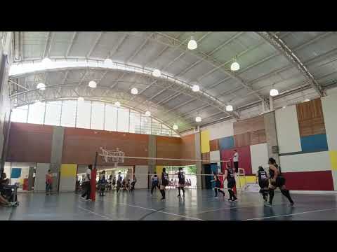 2 set meta x flor de Lótus