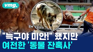 늑구를 통해 알아본 동물복지, 어디까지 알고 있니? / 비디오머그 / 머그인사이트