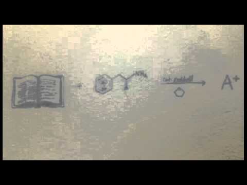 PETEYWEEDEY FREESTYLE $$ ///// RUBEN SLIKK