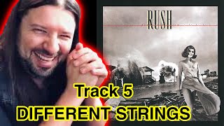 Musician REACTS RUSH Different Strings 1980 Permanent Waves FIRST TIME HEARING REACTION