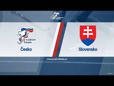Česko : Slovensko - přípravný zápas