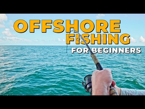 How to Go OFFSHORE Fishing | A Beginners Guide