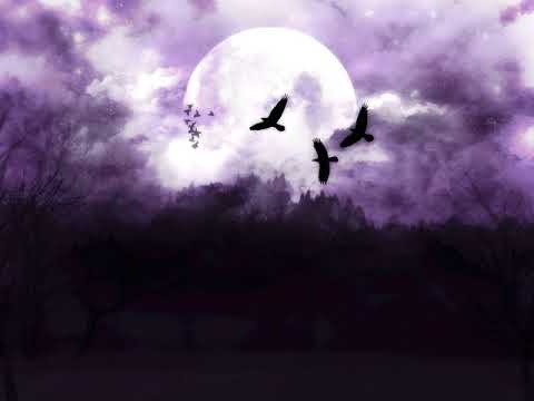 Moon in Gemini Personality Traits 🌜♊