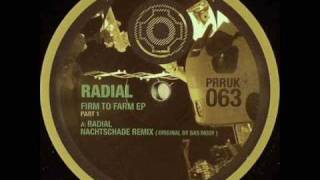 Bas Mooy - Nachtschade (Radial Remix)