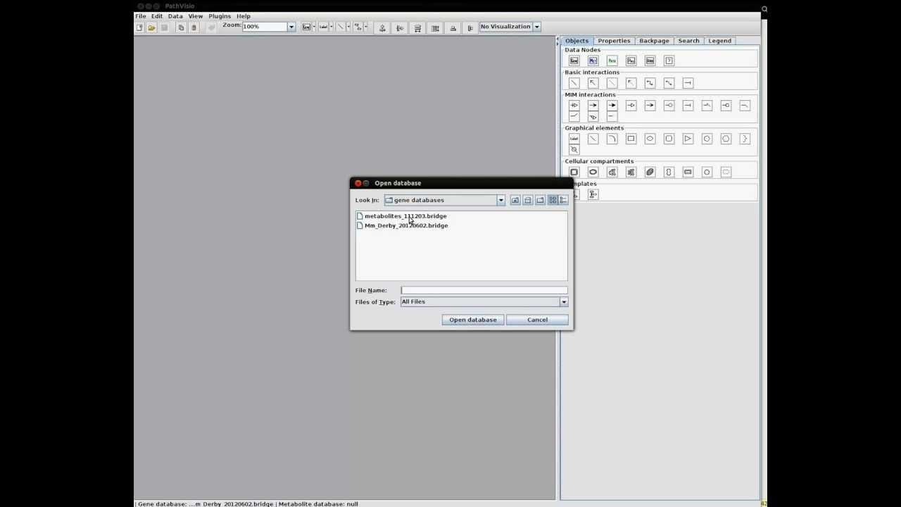 Load Identifier Mapping Databases in PathVisio