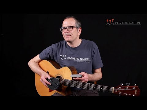 Обзор звукоснимателей Fishman Neo-D