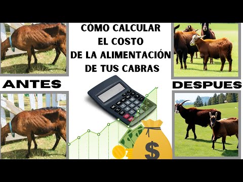, title : '📢Cómo Evaluar Los Costos De Alimentación De Las Cabras En Una Granja📢razas de cabra de carne y leche'