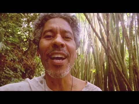 Mãe Floresta - Celso Lira