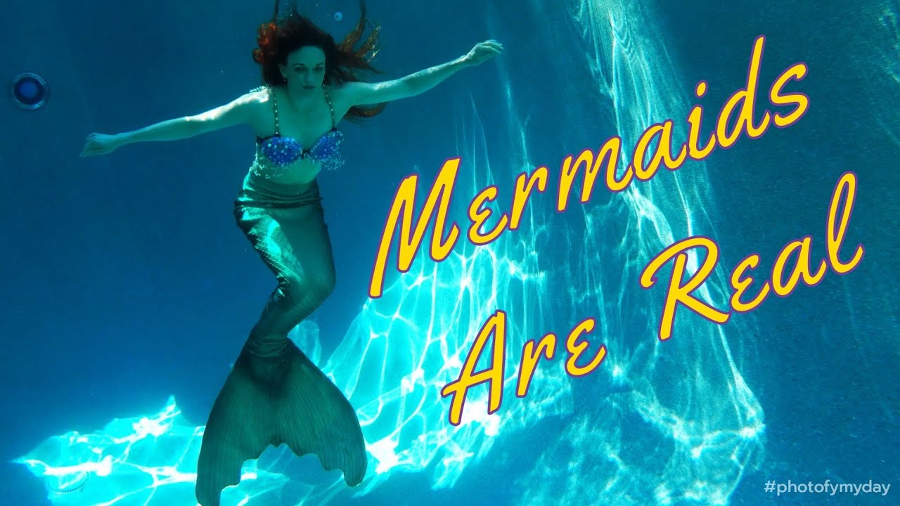 Promotional video thumbnail 5 for AeroTerra Arts Aerialist and Circus Entertainment