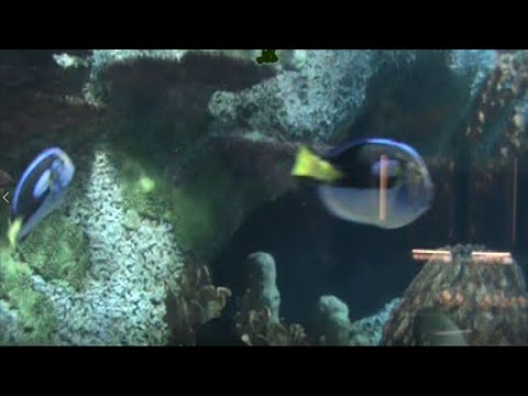 Warehouse Radio @ Millennium Strike Ep.12 : H2O