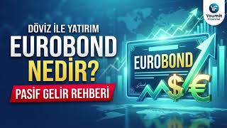 Dolar ve Euro ile Nasıl Yatırım Yapılır? Eurobond Eğitimi (Yeni Başlayanlar İçin