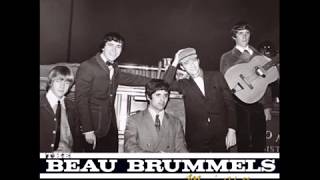 Beau Brummels - People Are Cruel