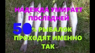 Ссылка