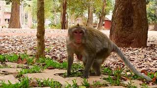 What happen  JANE Look like scared and Move so fast from there to other place.