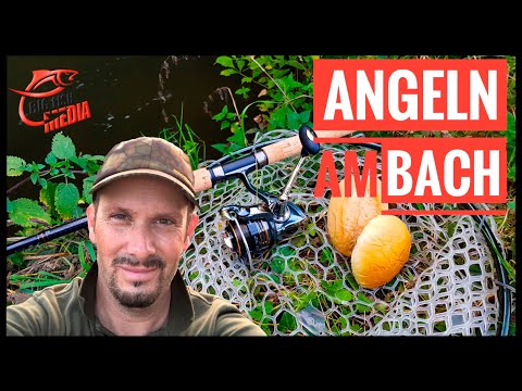 Christian am Bach - Spannendes Angeln mit Brot