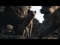 The Lion King 2019 Mufasa Saves Simba And Nala Hindi