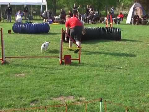 19 04 09 Jumping Jan Heiko mit Tim