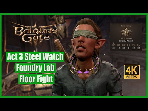 Baldur's Gate 3 Walkthrough Act 3 Steel Watch Foundry Lab Floor Fight