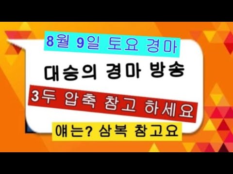 8/9-대승-토요 부산.제주 삼복마 다크호스 확인 조금이나마 도움 되었으면 합니다?