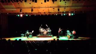 NEWDAYS (Schroeder-Headz) 演奏してみた