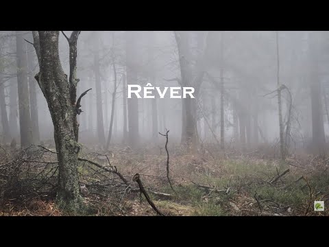 Rêver  -  Mylène Farmer  (Paroles)  4K