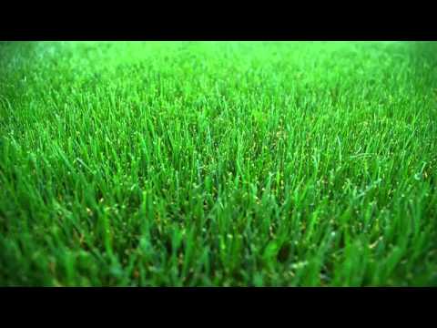 Video thumbnail for The Grass Is Always Greener
