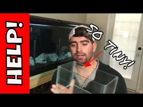 DIY Nano aquarium, New betta fish tank