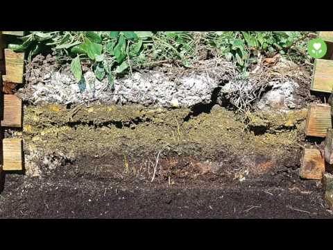 So kompostieren Sie richtig