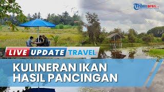 Nikmati Suasana Santai di Ekowisata Banyu Langit Wibowo, Wisatawan Bisa Santap Hasil Pancingan