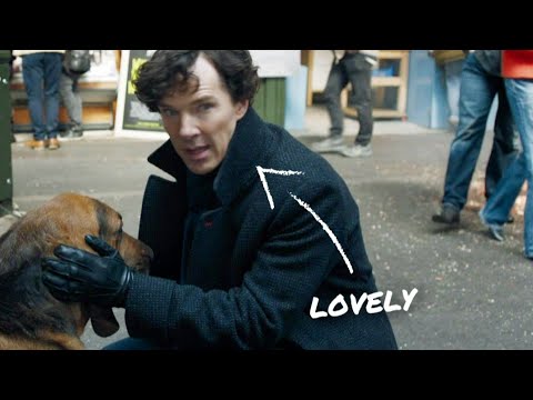 Sherlock actually being great with kids and pets