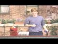 Sesame Street 5 YOUTUBE Updated051509