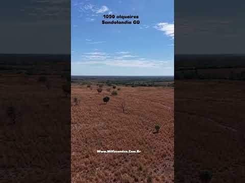 Excelente fazenda com 1.090 alqueires (5.275 ha) município de Sandolândia – TO  #fazendaavenda #agro