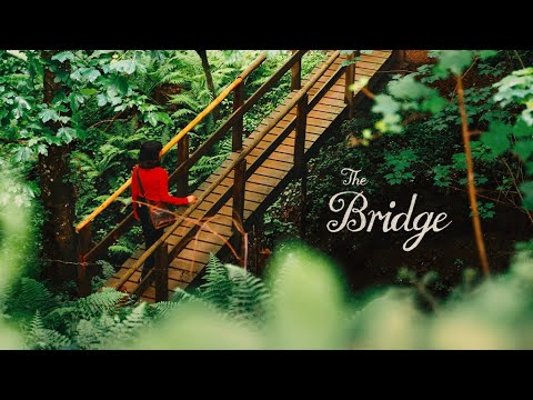 'The Bridge' – Mixed Media Short Film