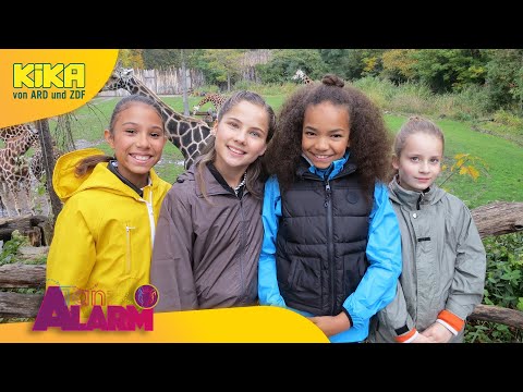 Ein affiger Tag | TanzAlarm | Mehr auf KiKA.de
