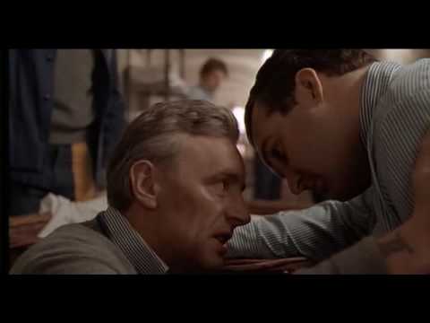 'n the name of the father | 54 halsey road