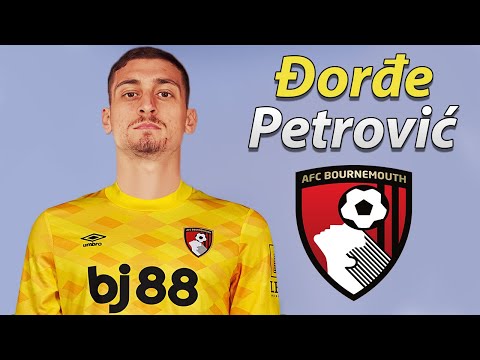 Djordje Petrović ● Welcome to Bournemouth 2025 🔴🇷🇸 Best Saves, Reflexes & Passes
