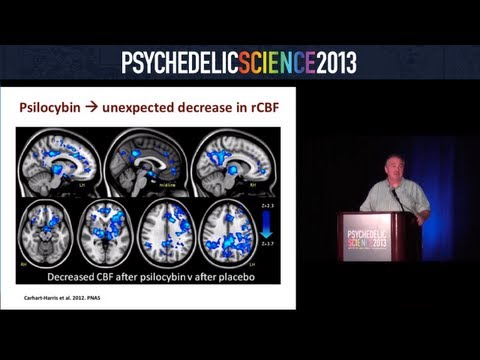 The Beckley-Imperial Psychedelic Research Program - David Nutt