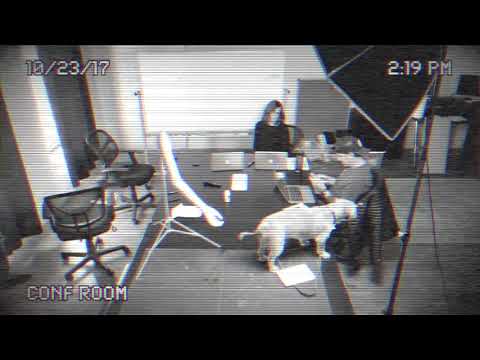 Behind the Scenes: Product Development Meeting For Pet Petter